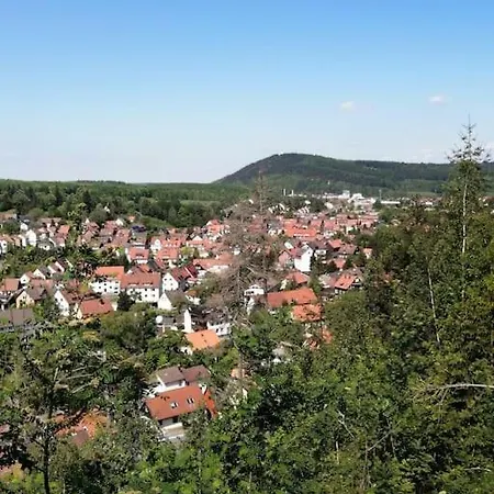 Grosses Haus Am Waldrand Mit Garten Und Parkplatz Goslar