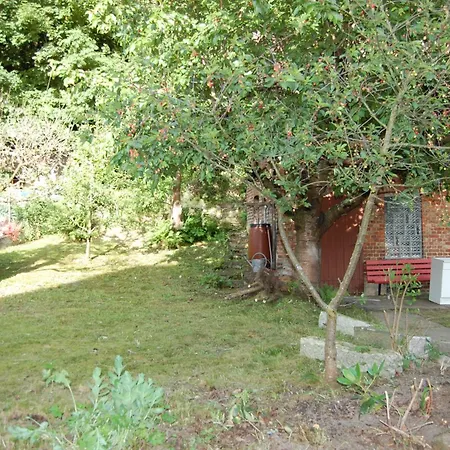 Apartment Grosses Haus Am Waldrand Mit Garten Und Parkplatz *